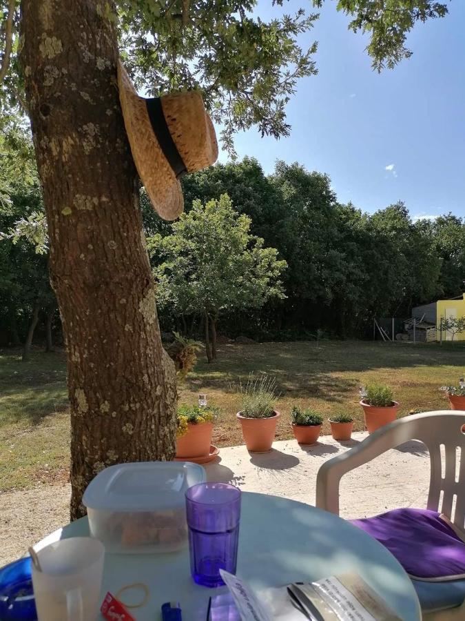 Tiny House Dora Βίλα Marčana Εξωτερικό φωτογραφία