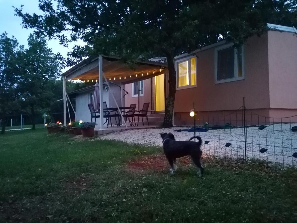 Tiny House Dora Βίλα Marčana Εξωτερικό φωτογραφία