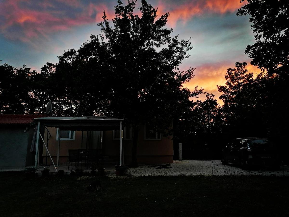 Tiny House Dora Βίλα Marčana Εξωτερικό φωτογραφία